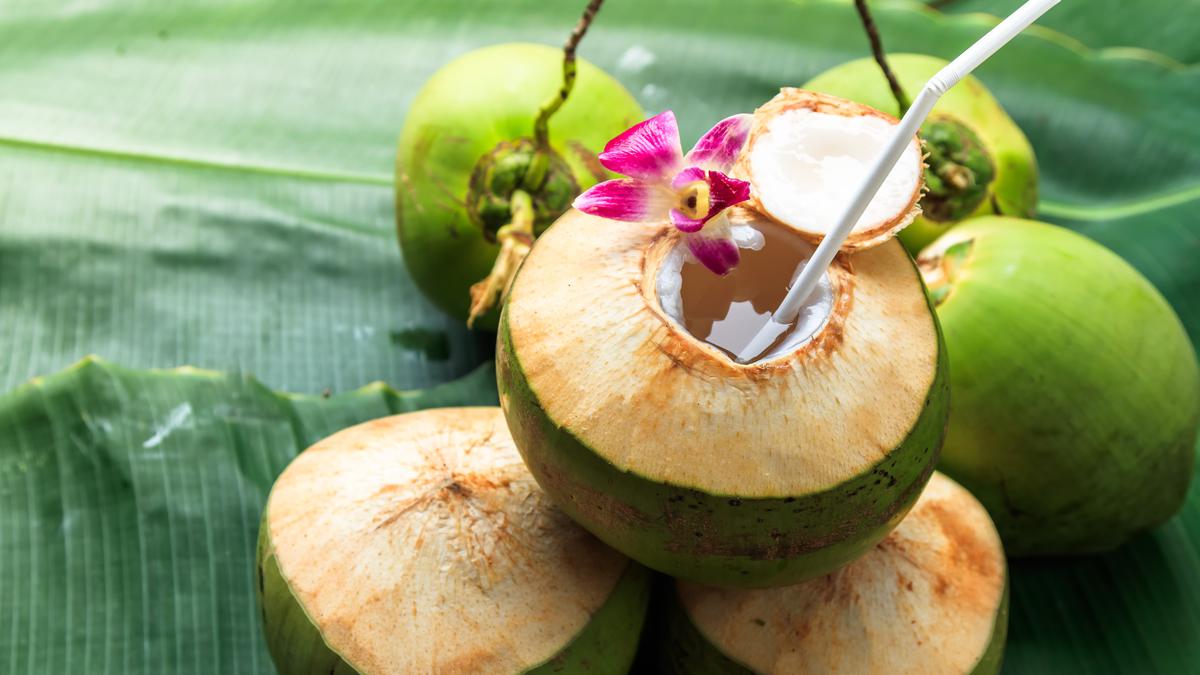 Air Kelapa - Kandungan